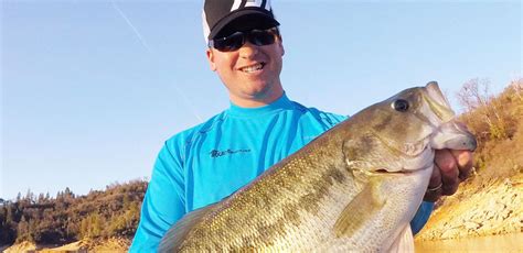 bass fish|Tis' the season 25' .